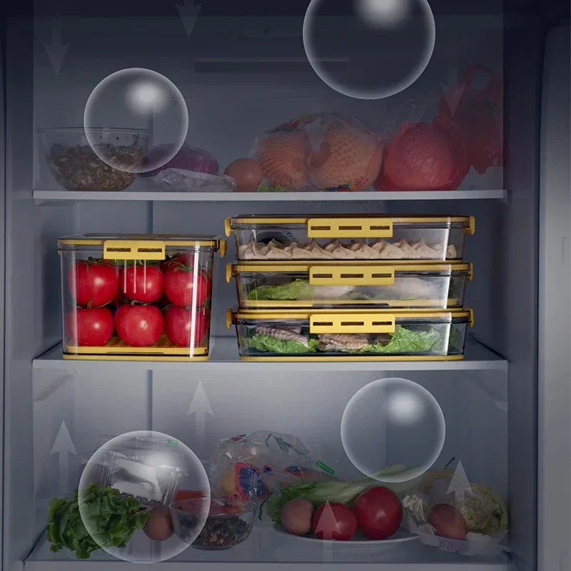 Kitchen Storage Food Organizer Container Seal Stable Cans for Fridge High Capacity Fresh Eggs Vegetable Fruit Storage Box Gray