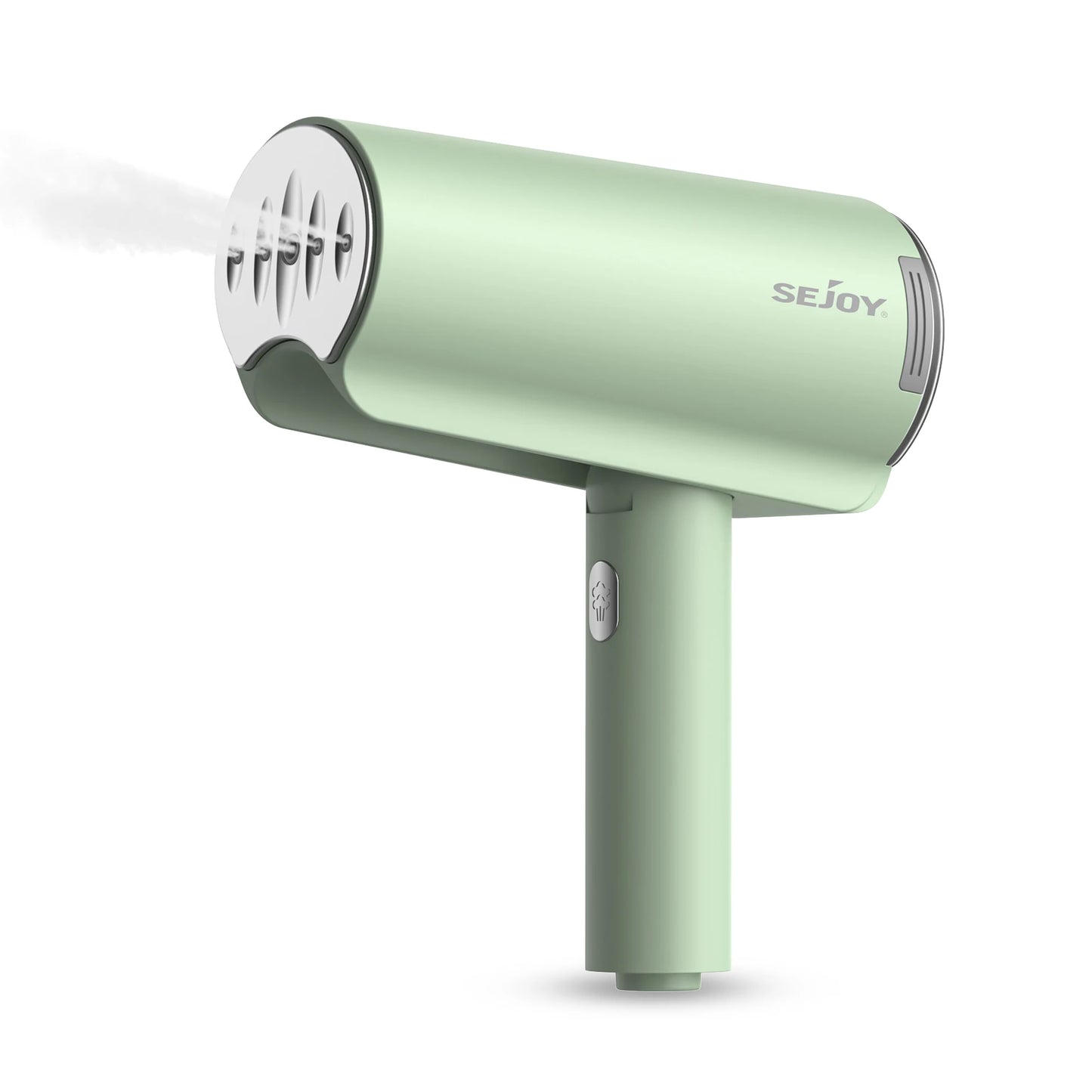110V 220V 1000W Handheld Garment Steamer Mite Removal
