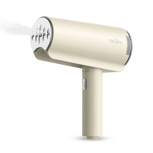 110V 220V 1000W Handheld Garment Steamer Mite Removal