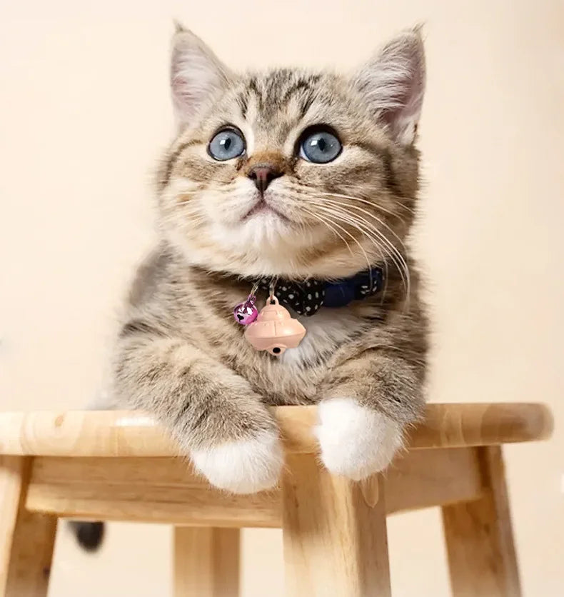 Cat Laser Toy Pointer Cat Collar USB Charging Toy Kitten