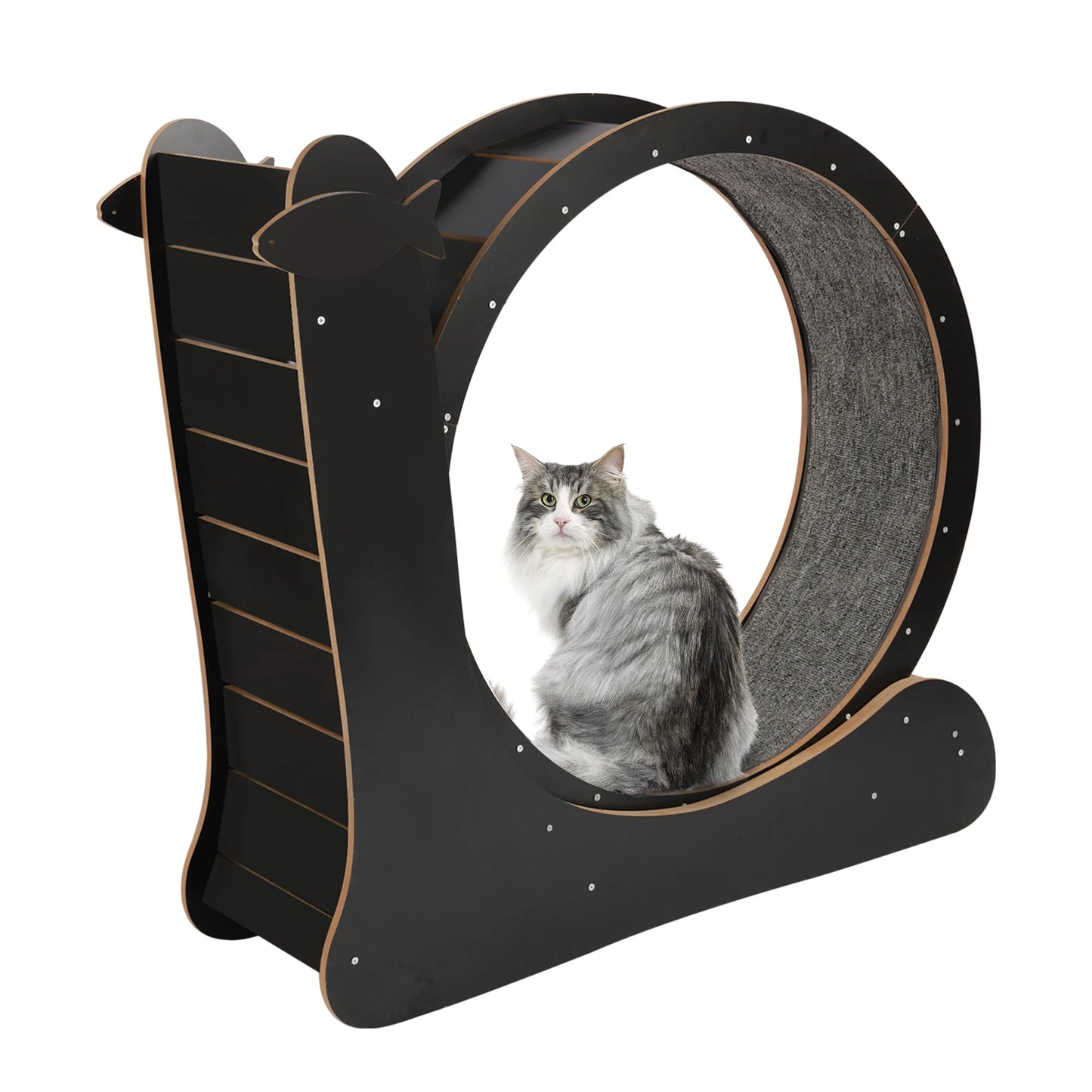 Cat Exercise Wheel Large Treadmill With Carpet Runway Black